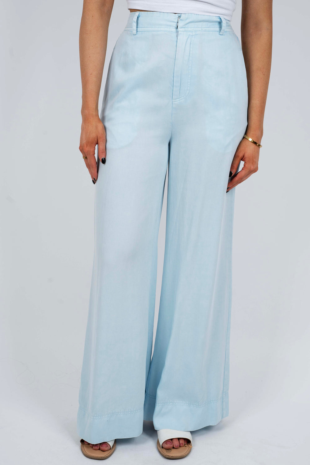 High Stakes Wide Leg Pants (Powder Blue)